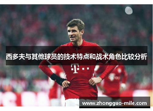 西多夫与其他球员的技术特点和战术角色比较分析