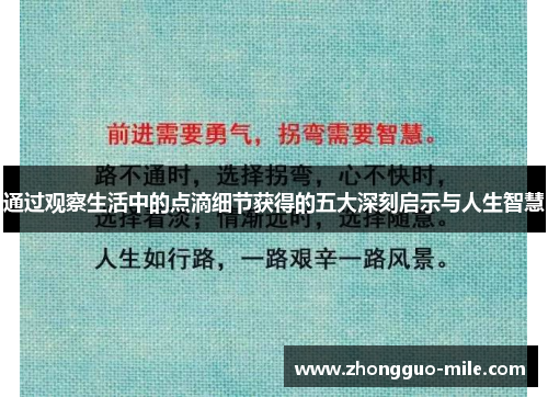通过观察生活中的点滴细节获得的五大深刻启示与人生智慧